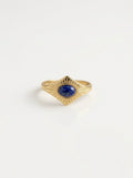 Solis Lapis